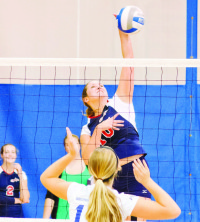 rsz_volleyball_pic